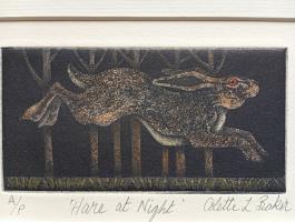 Hare at Night